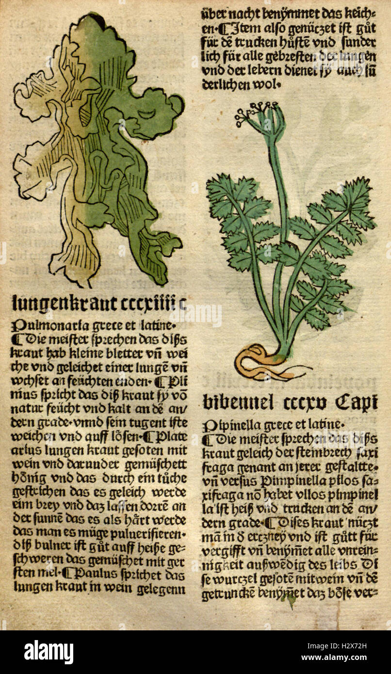 A historical medical text from the 16th century, focused on the healing ...