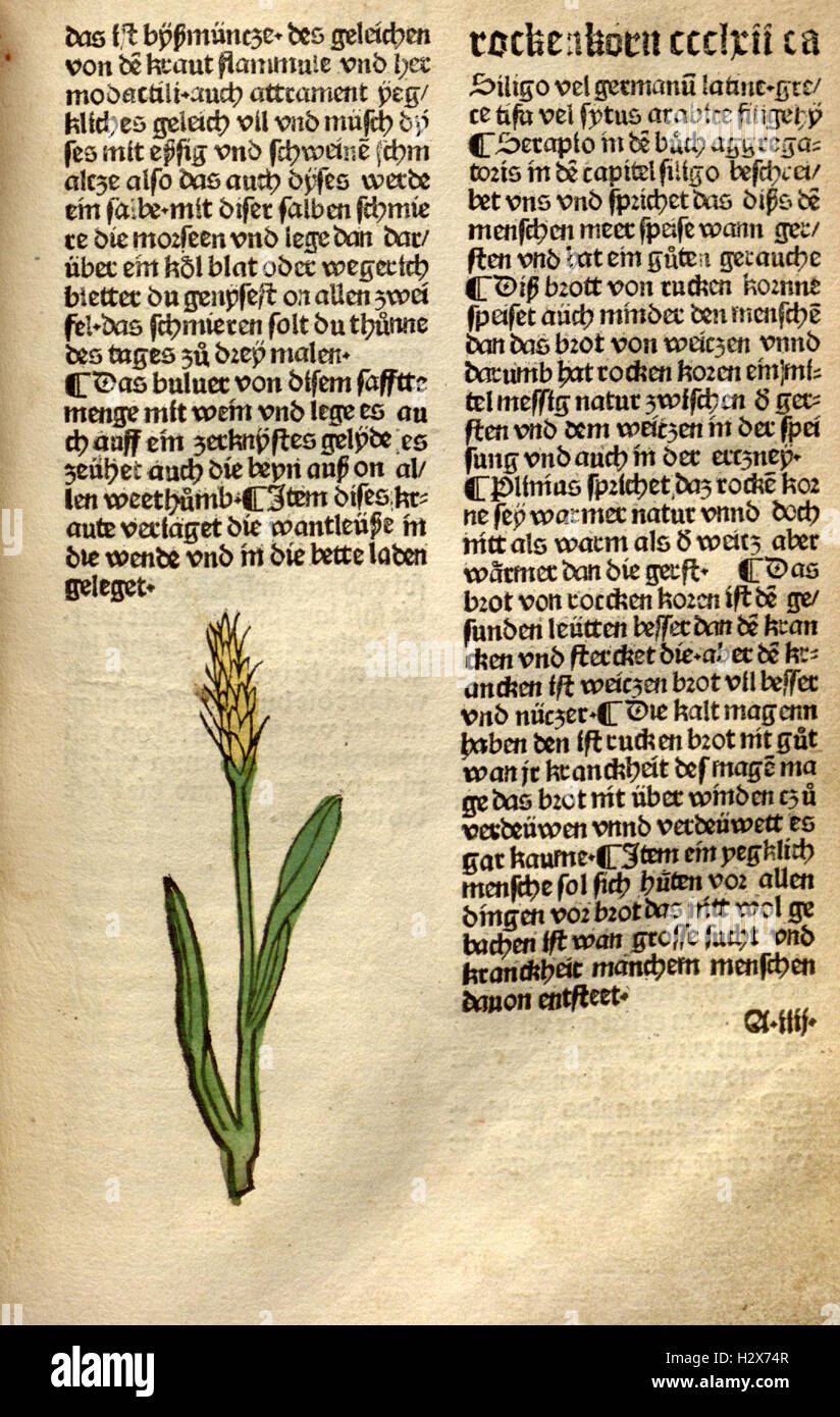 The 'Garden of Health' (Gart der Gesundheit) page in BHL features a