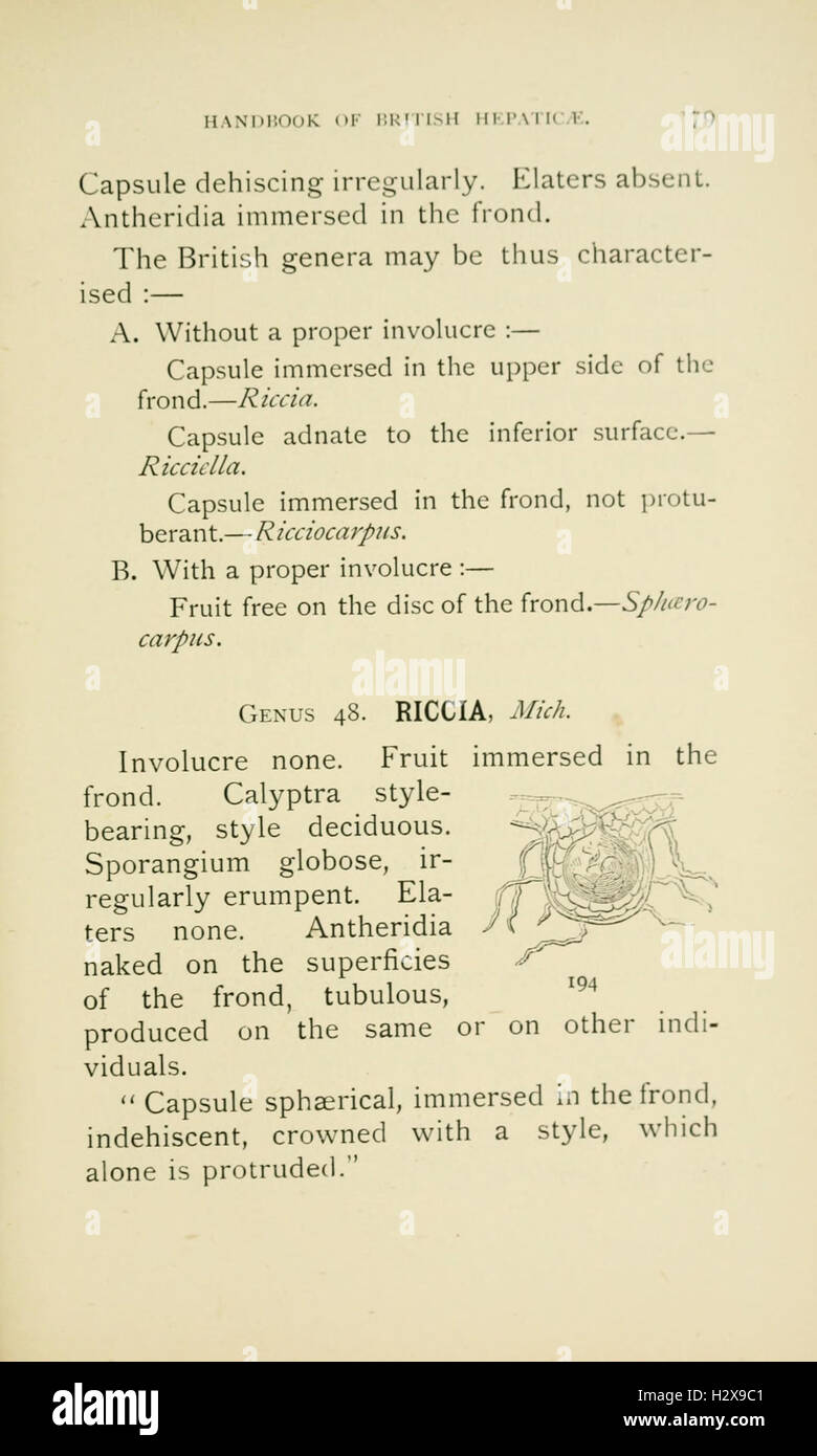 Handbook of British Hepatic containing descriptions and figures of the indigenous species of Marchantia, Jungermannia, Riccia, and Anthoceros (Page 279) BHL229 Stock Photo