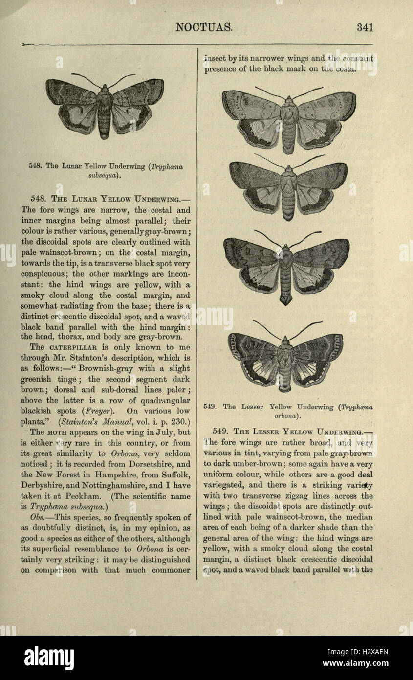 This illustrated work offers a comprehensive study of British ...