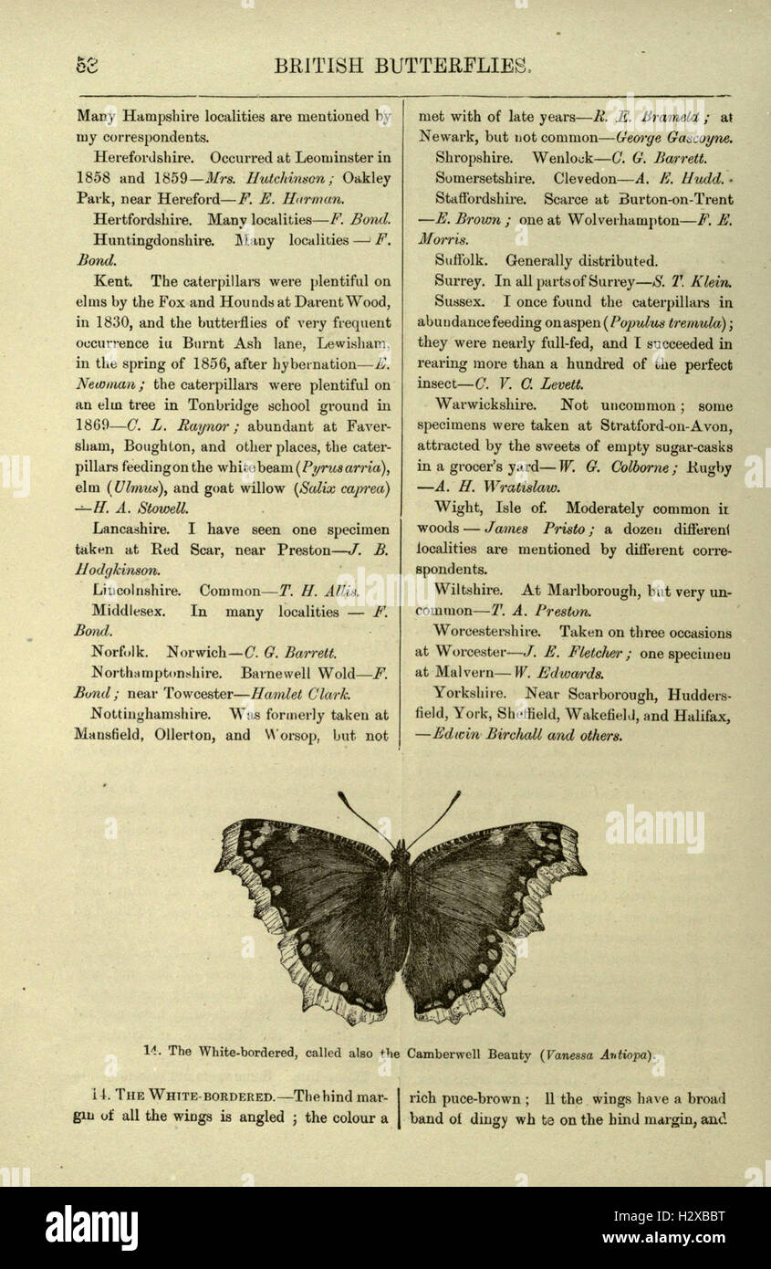 A visual and descriptive study of British butterflies and moths ...