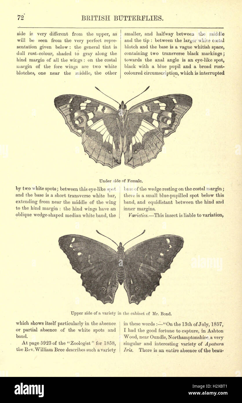 This illustrated guide provides a detailed overview of British ...