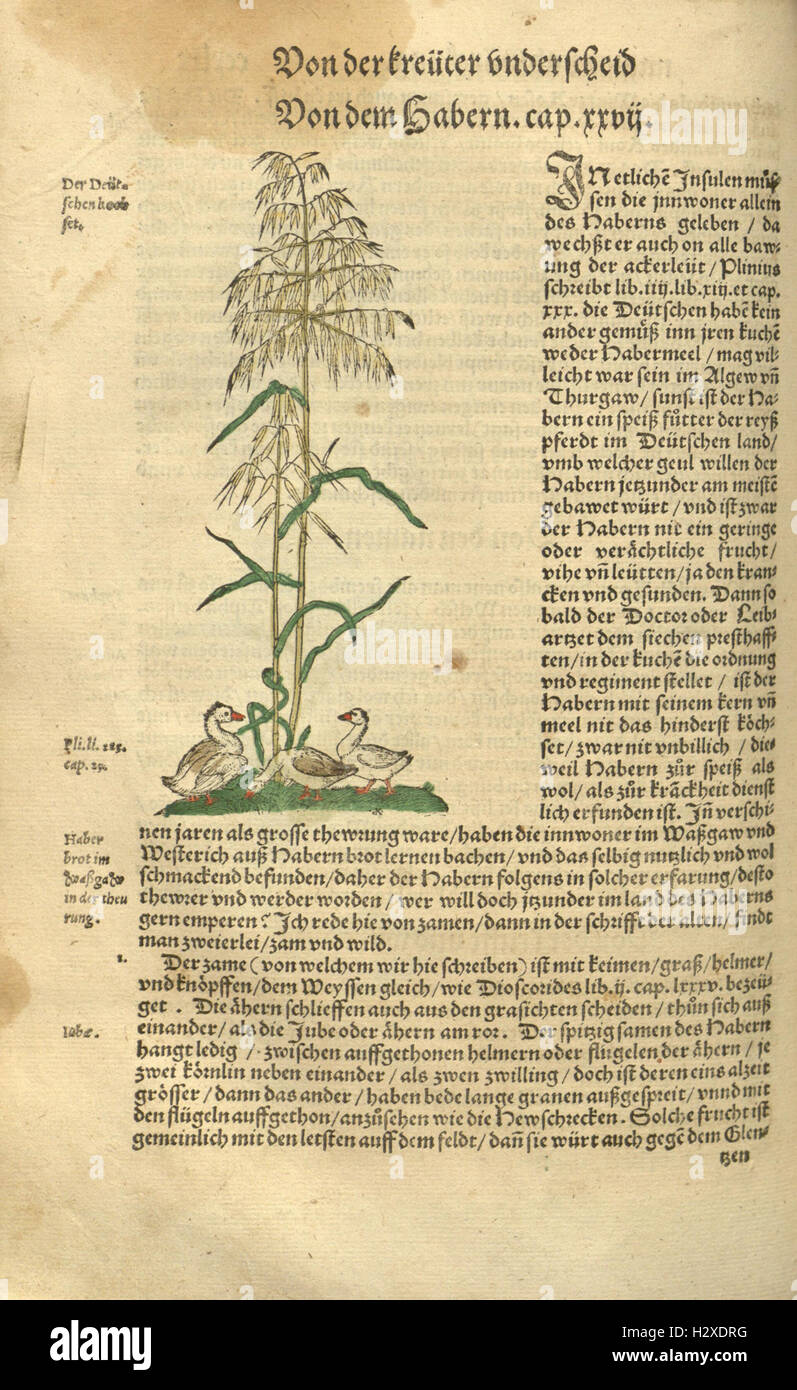 Kreüter Buch, darin Underscheid, Würckung und Namen der Kreüter so in