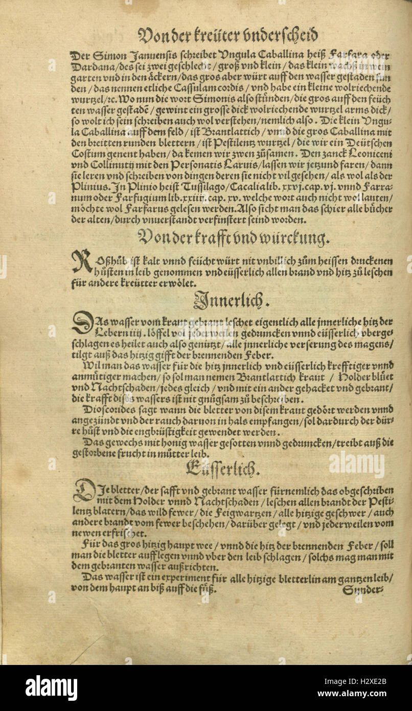 Kreüter Buch, darin Underscheid, Würckung und Namen der Kreüter so in Deutschen Landen wachsen (Page clvi) BHL81 Stock Photo