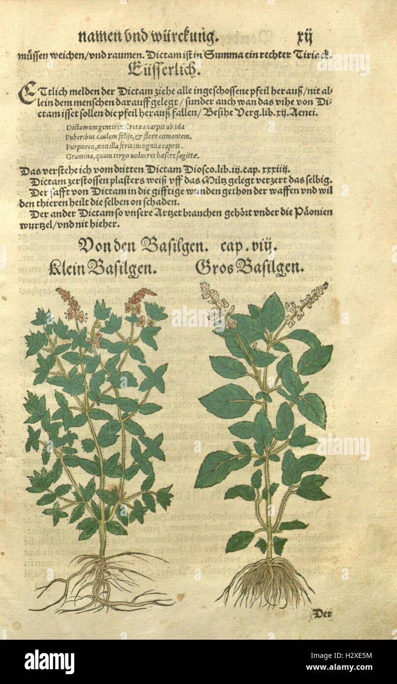 Kreüter Buch, darin Underscheid, Würckung und Namen der Kreüter so in