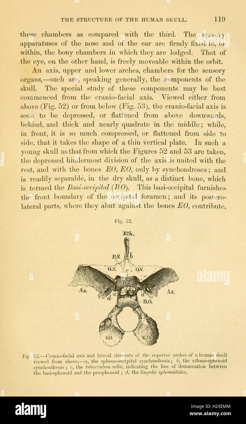 This work focuses on the basic principles of comparative anatomy ...
