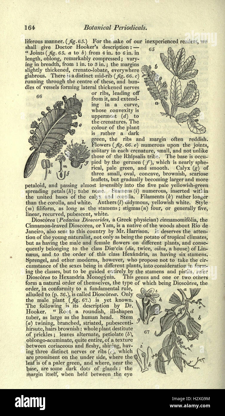 This comprehensive journal covers topics in natural history, including ...