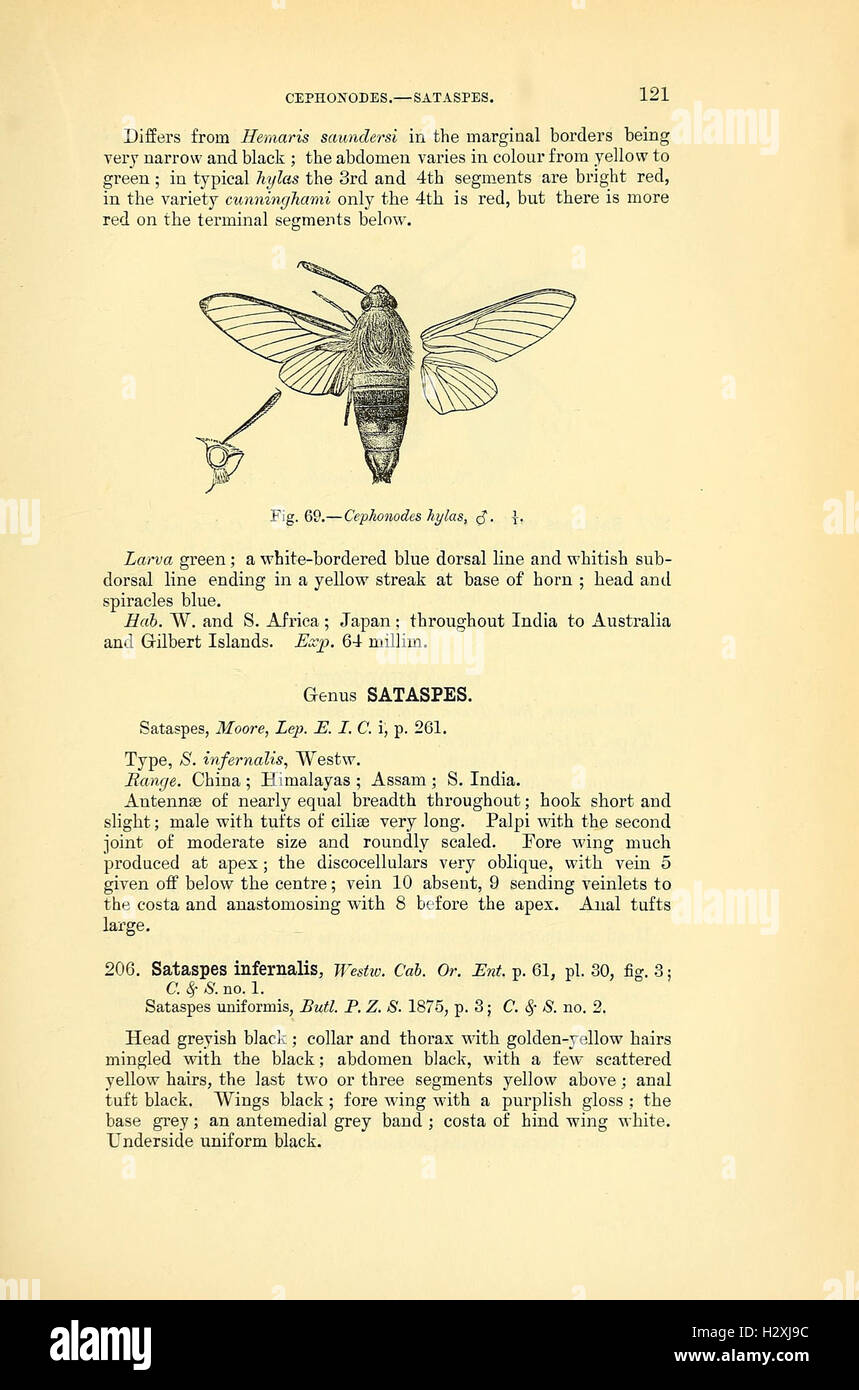 A study focused on the identification and characteristics of moth ...