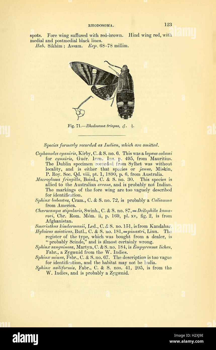 This text provides an overview of moth species, their classification ...