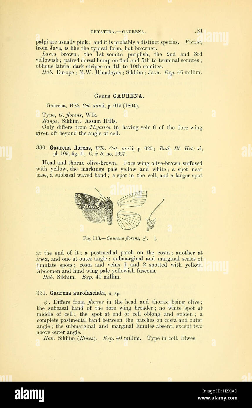 This section focuses on moth species, their characteristics, behavior ...