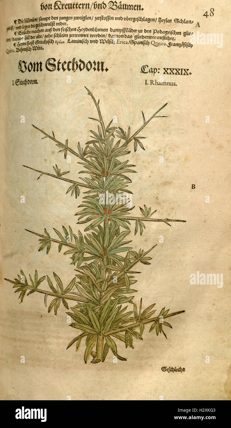 A new and comprehensive herbal catalog detailing plants and their