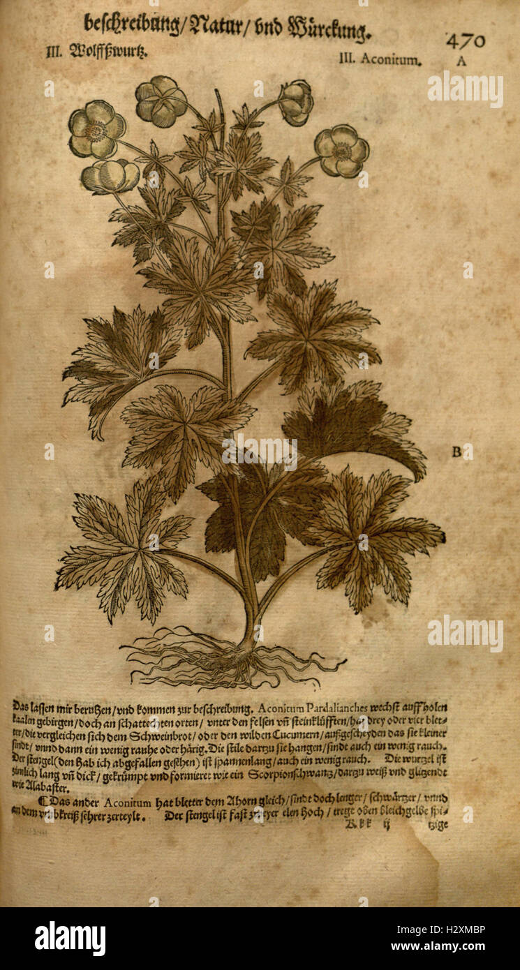 'New Kreterbuch' is a scientific catalog documenting various species