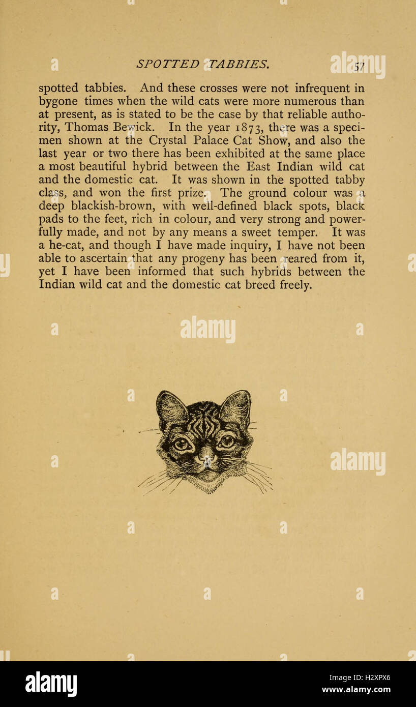 This work provides detailed information about domestic cats, covering ...