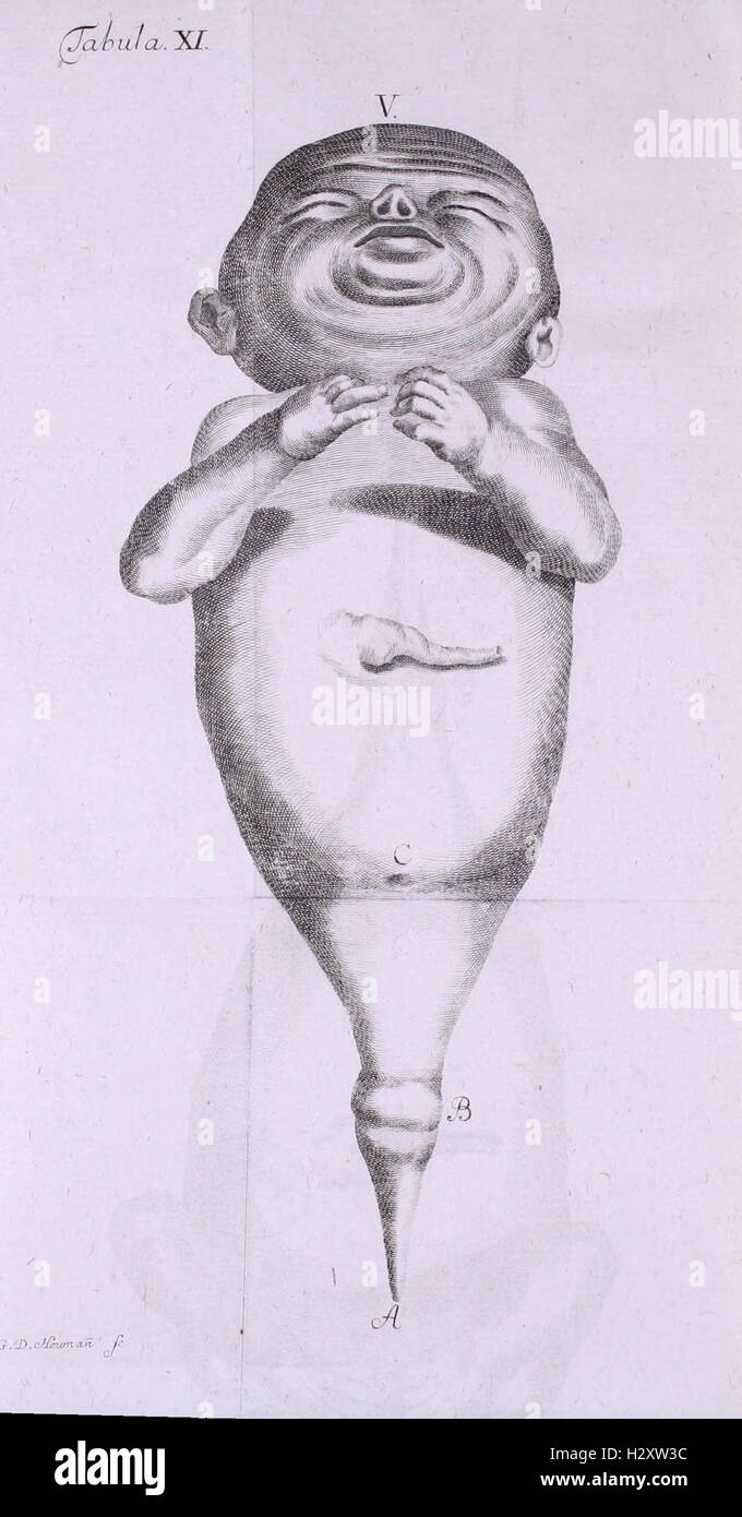 Acta Helvetica BHL104