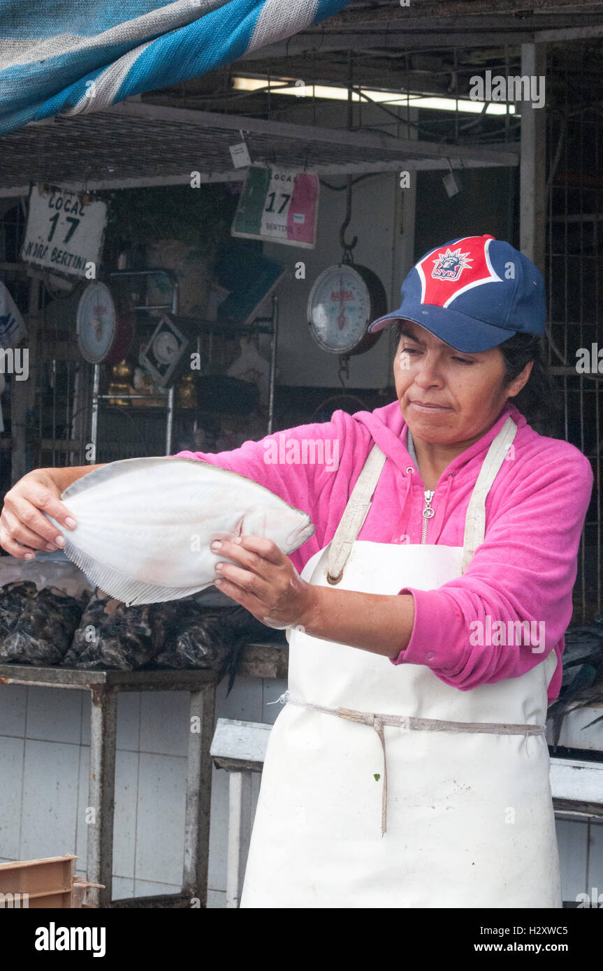 Fishmonger on the waterfront, Arica, northern Chile Stock Photo