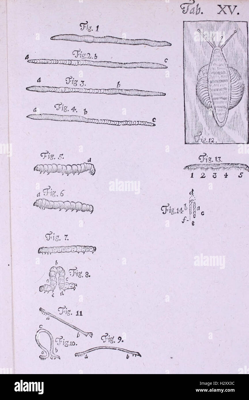Acta Helvetica BHL104