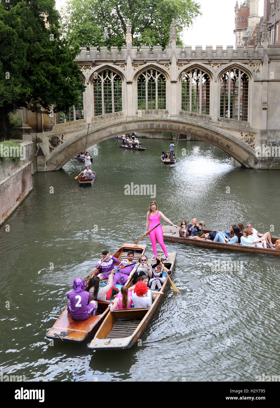 Fancy Dress' Punting on the River Cam in Cambridge  Featuring: Atmosphere Where: Cambridge, United Kingdom When: 29 Jul 2016 Stock Photo