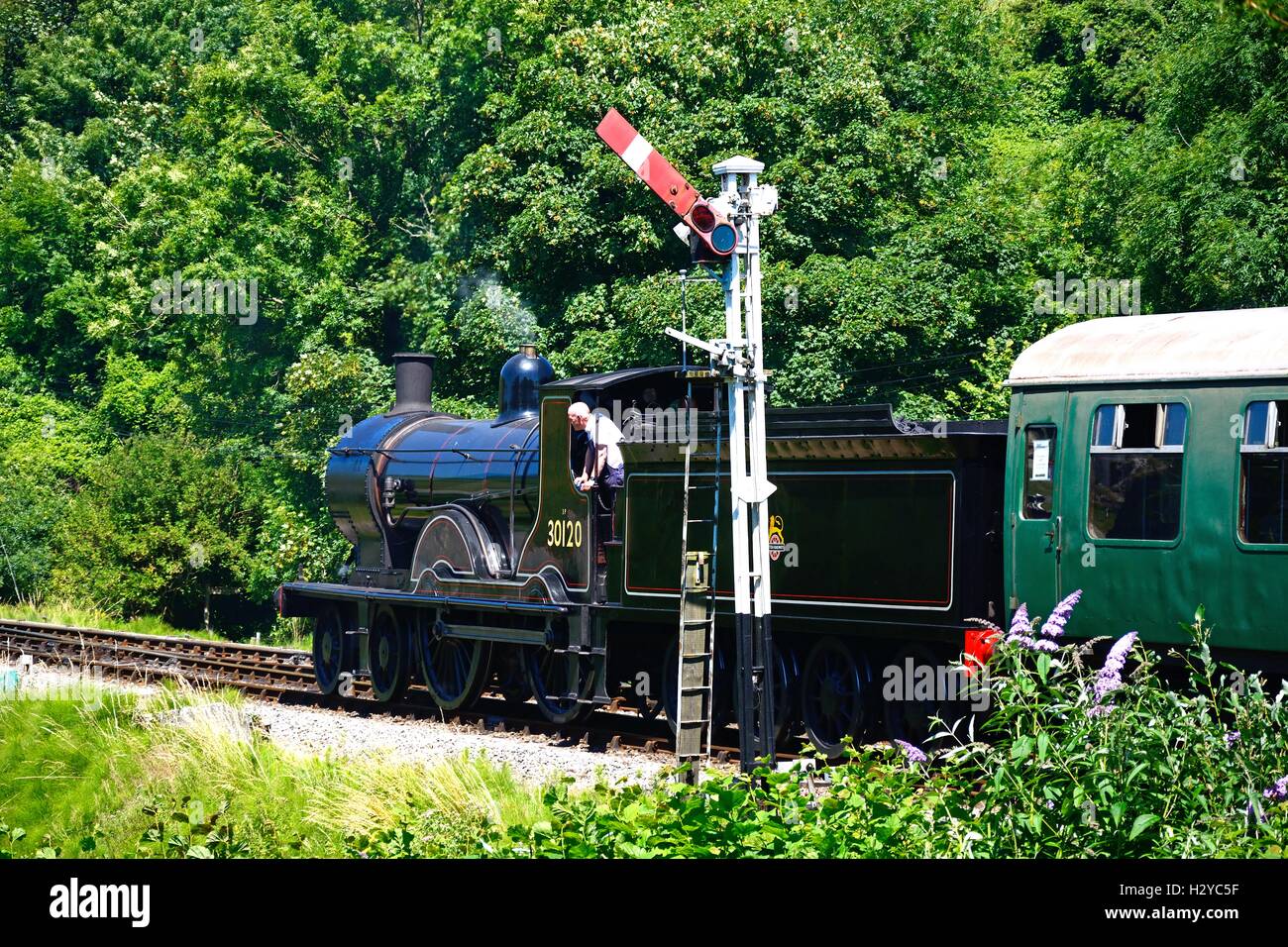 LSWR T9 Class 4-4-0 steam train at the railway station with the engine driver looking out of the cabin, Corfe, Dorset, UK. Stock Photo