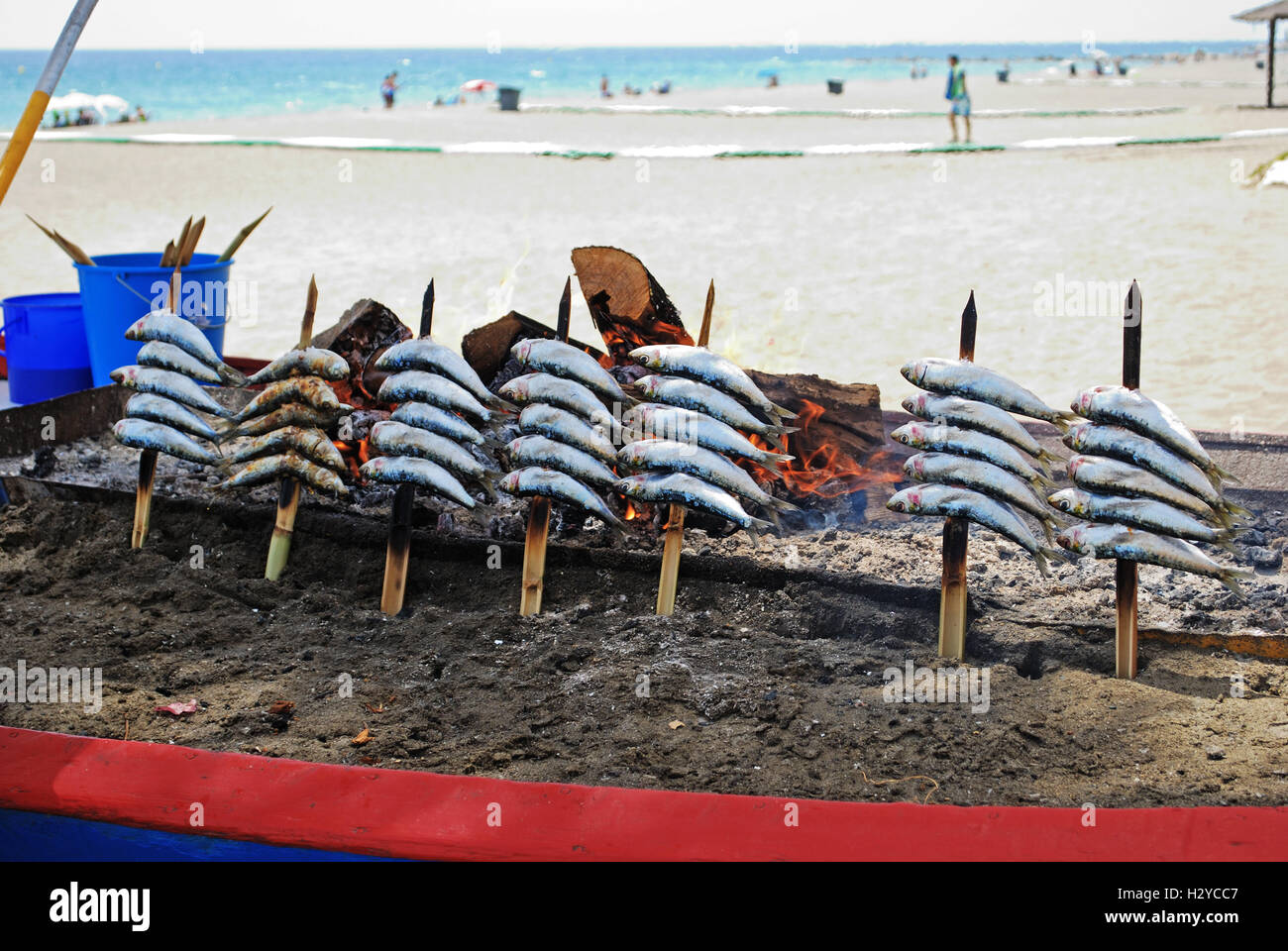 Sardines cooking on a boat barbecue along the beach, Estepona, Malaga