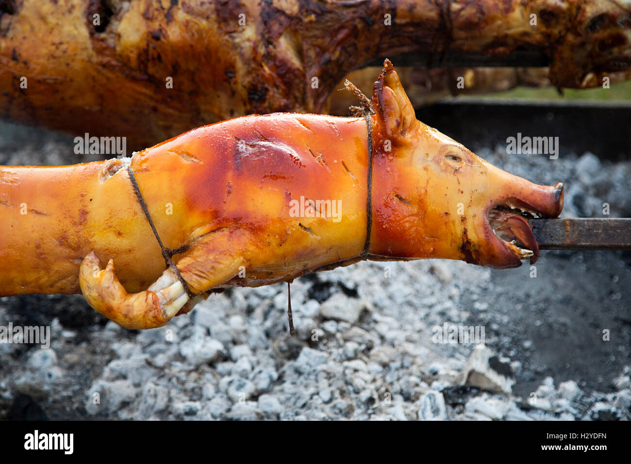 View at roasted pig on a spit Stock Photo