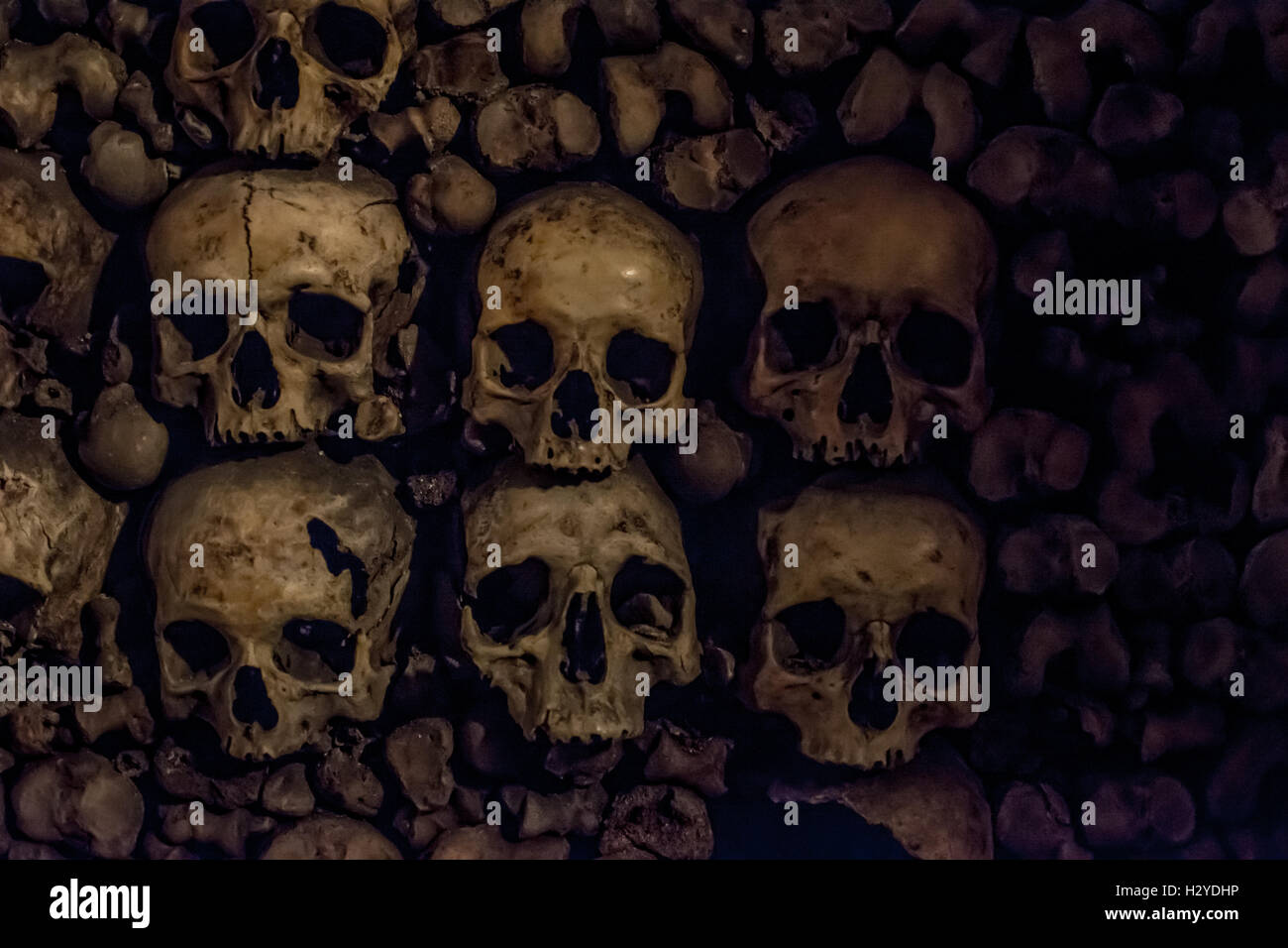 Skulls and bones in the catacombs of Paris Stock Photo