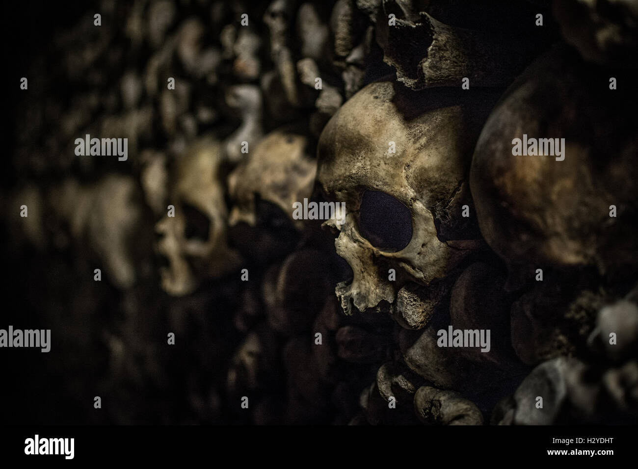 Skulls in the catacombs of Paris Stock Photo