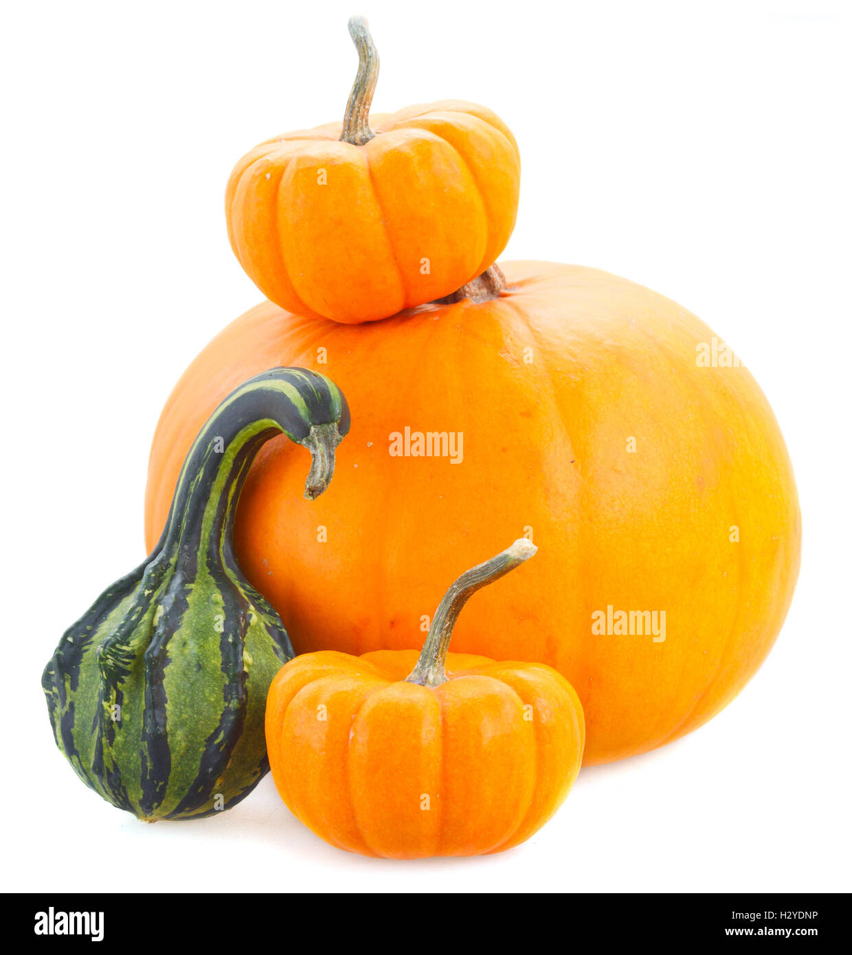 Pile of pumpkins Stock Photo - Alamy