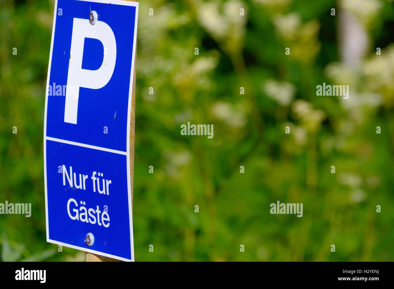 a blue parking sign with a big P on it on green background Stock Photo