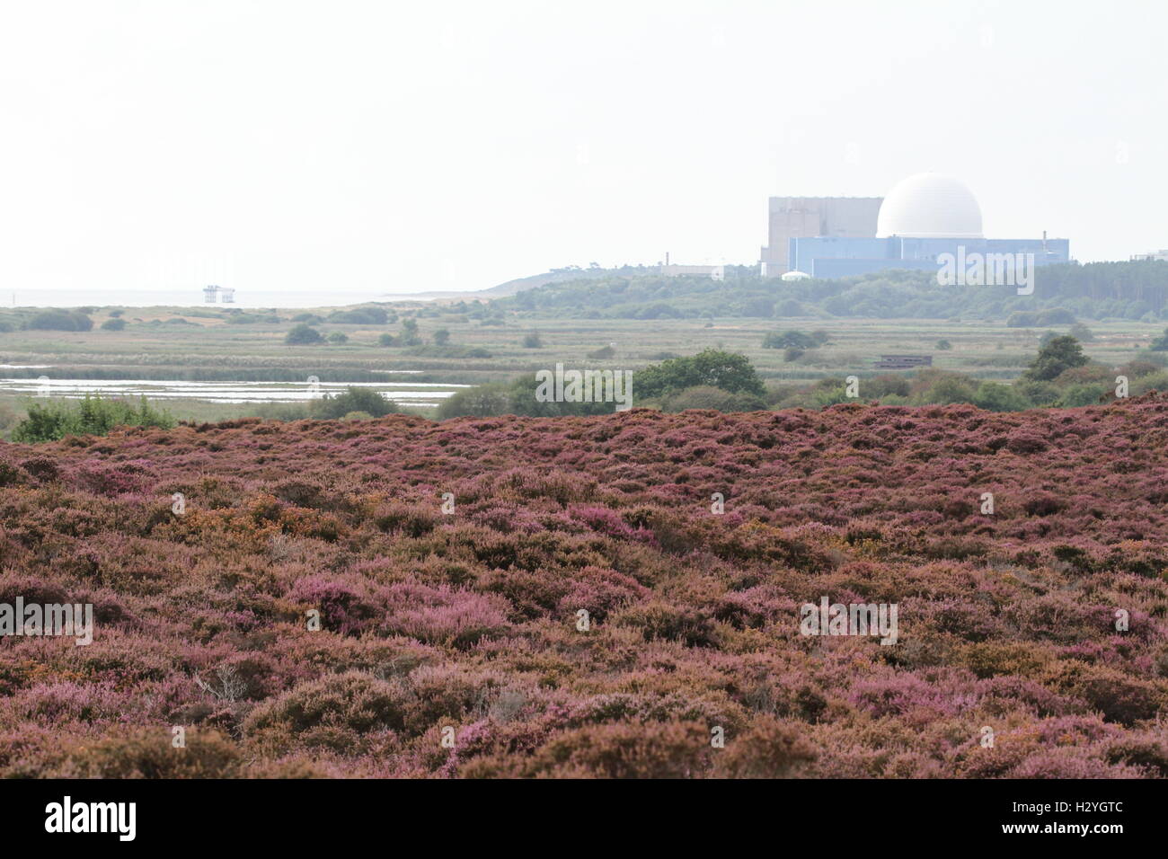 Sizewell B nuclear power station seen from Dunwich Heath, Suffolk, England, UK. Stock Photo