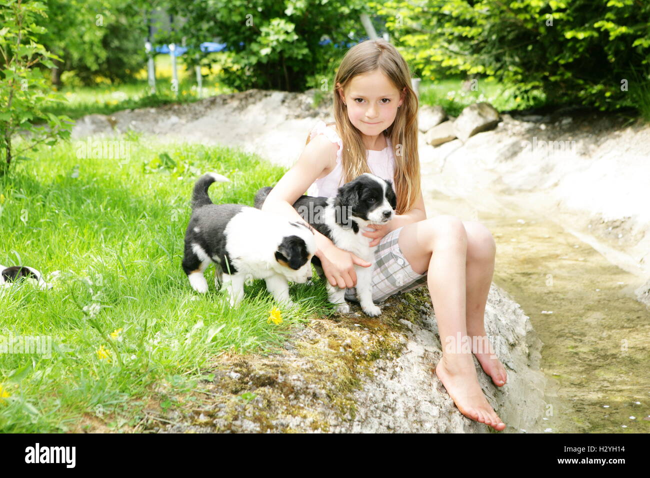 Girl playing outside with young dogs Stock Photo - Alamy