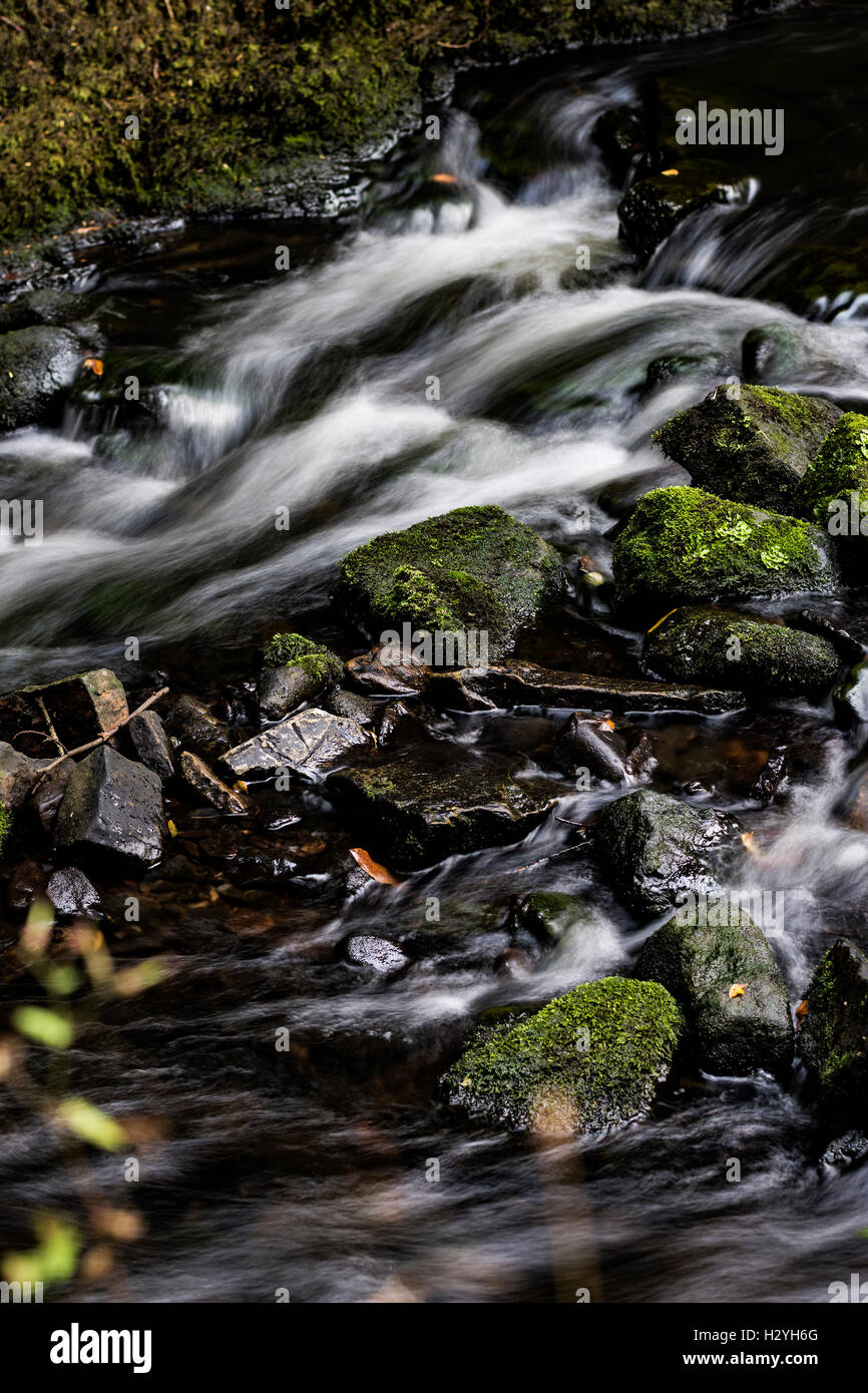 Slow Shutter of the Water Flowing Through Capelrig Burn, Rouken Glen .GLASGOW, SCOTLAND Stock Photo