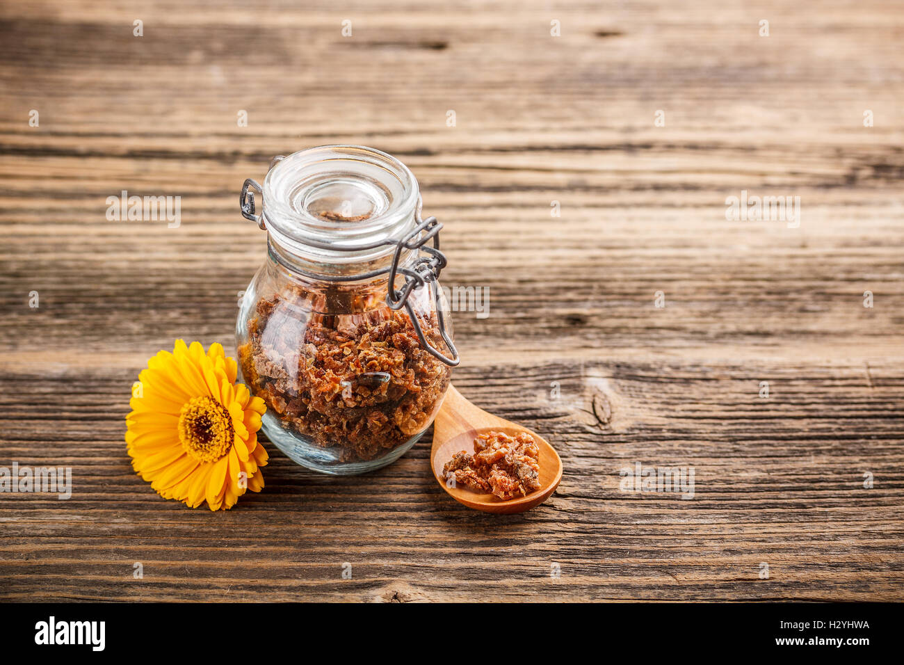 Propolis Stock Photo