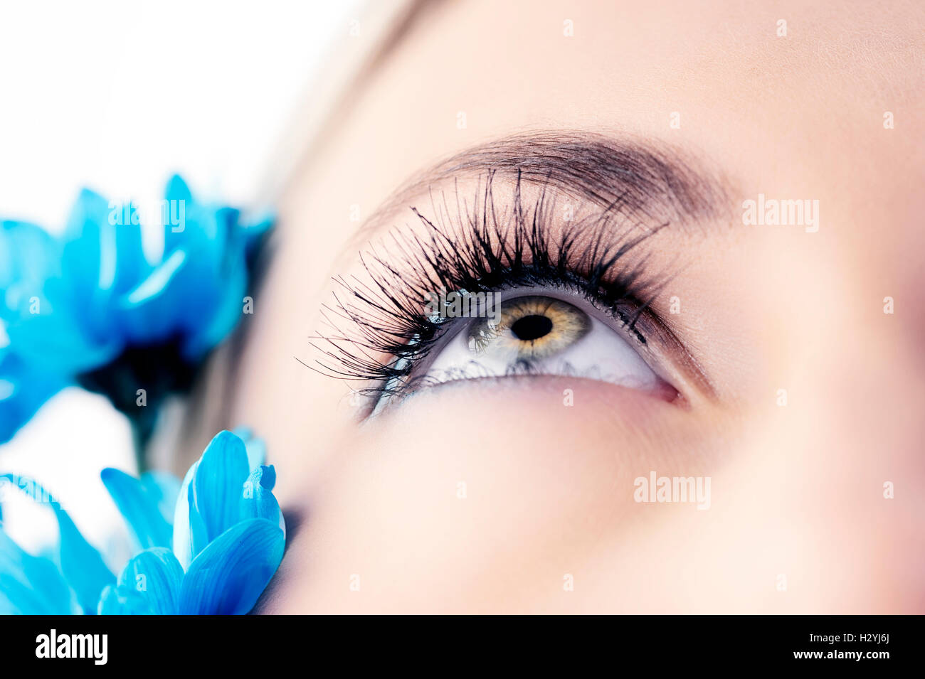Macro Shot Of Female Eye Iris Cropped On Black Background Usable
