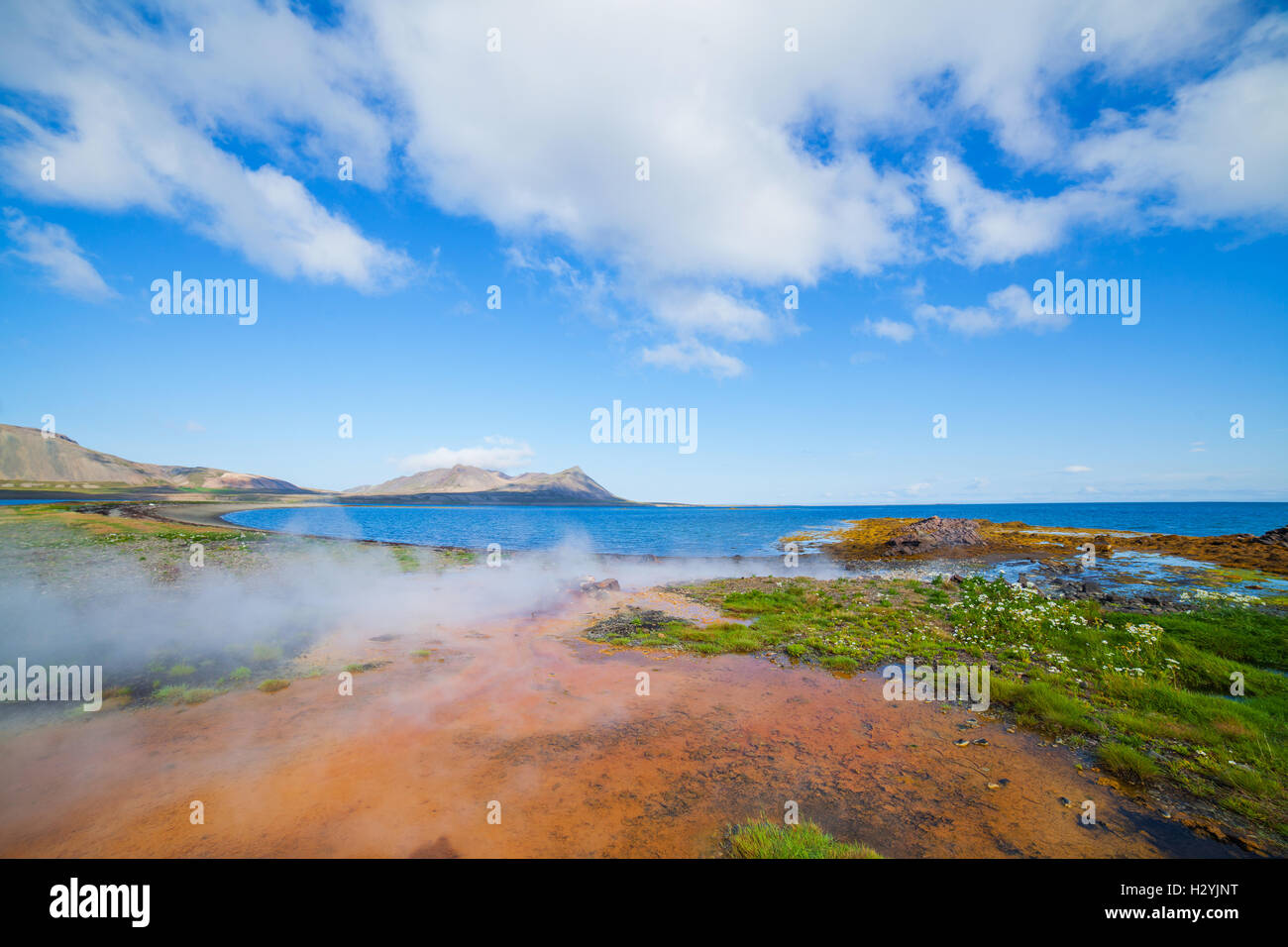 Hot geothermal spring Stock Photo - Alamy