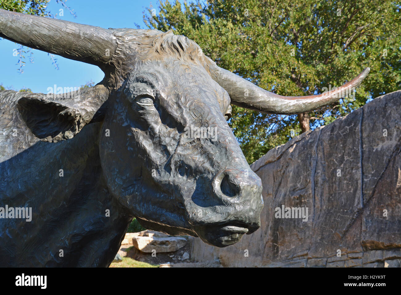 Close up of a bull one of around 50 bronze statues of an old west cattle drive in Pioneer Plaza, downtown Dallas, Texas. Stock Photo