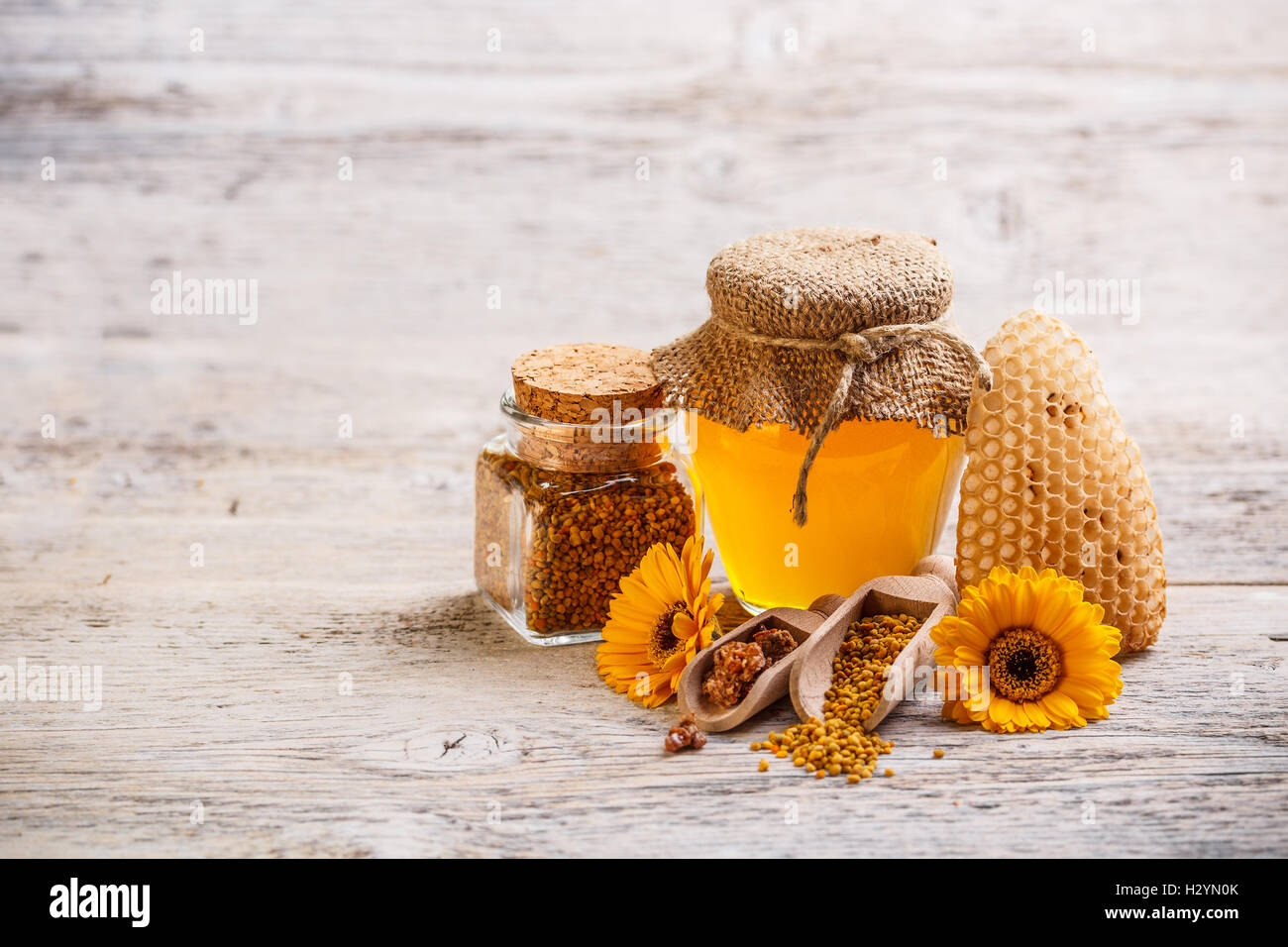 Alternative apiary apiculture hi-res stock photography and images - Alamy