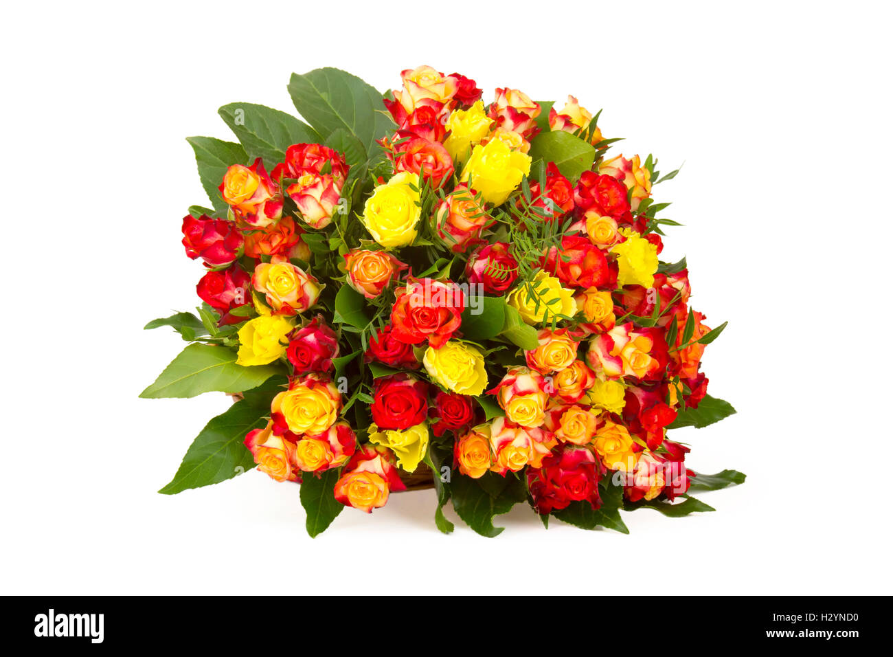 A bouquet of multicolored roses Stock Photo