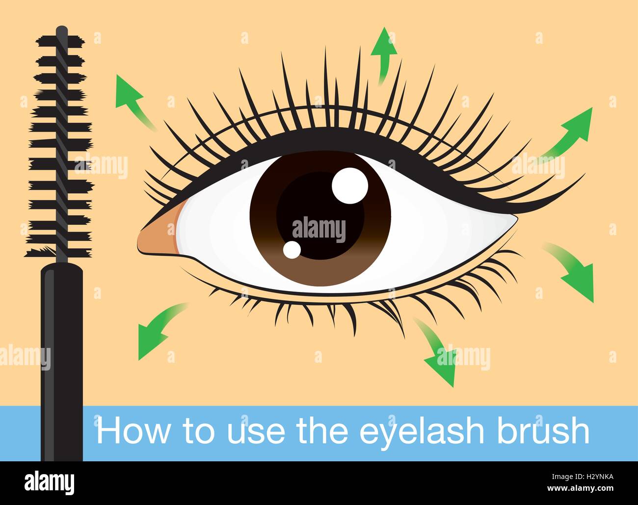 How to brush eyelash with lash brushing Stock Vector