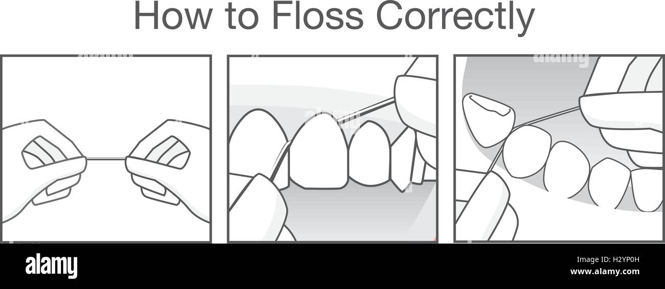 How to floss correctly for cleaning teeth Stock Vector Image & Art - Alamy