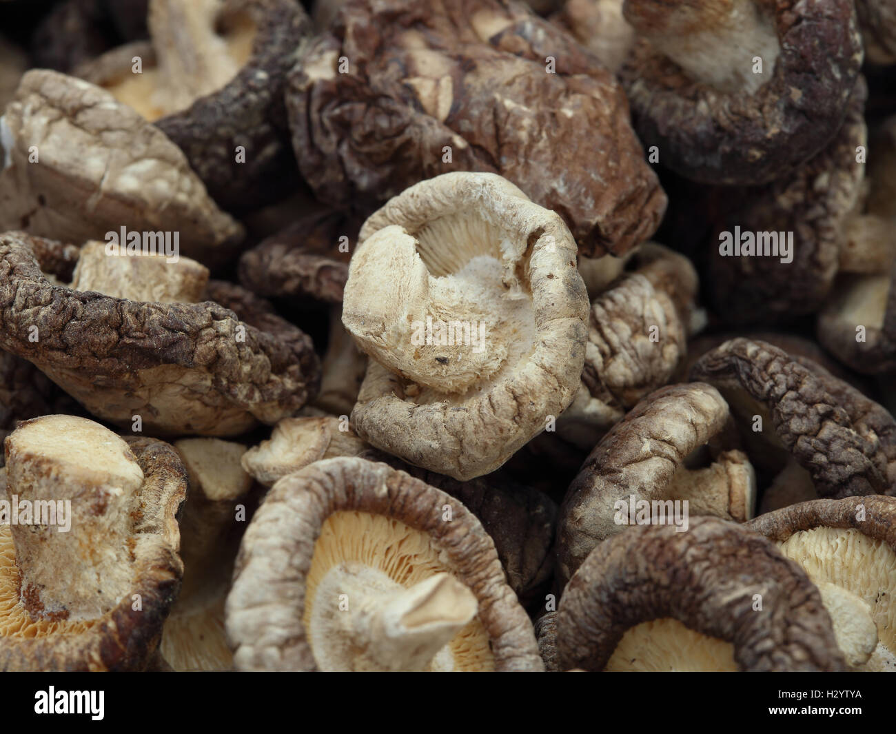 Dried Shiitake Mushrooms Stock Photo Alamy