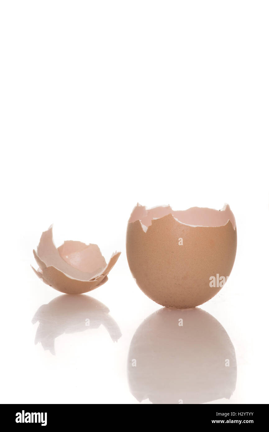 Broken empty egg shell on white Stock Photo Alamy