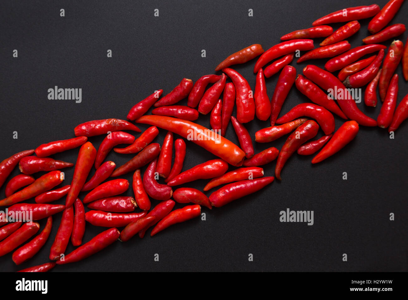 Row of nonstem red bird eye chili peppers Stock Photo Alamy