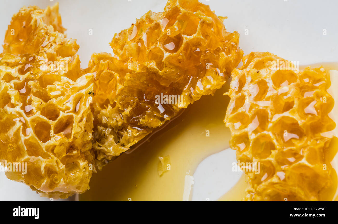 close-up pieces of honeycomb with honey Stock Photo