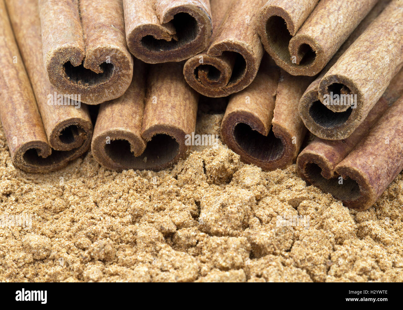 cinnamon Stock Photo