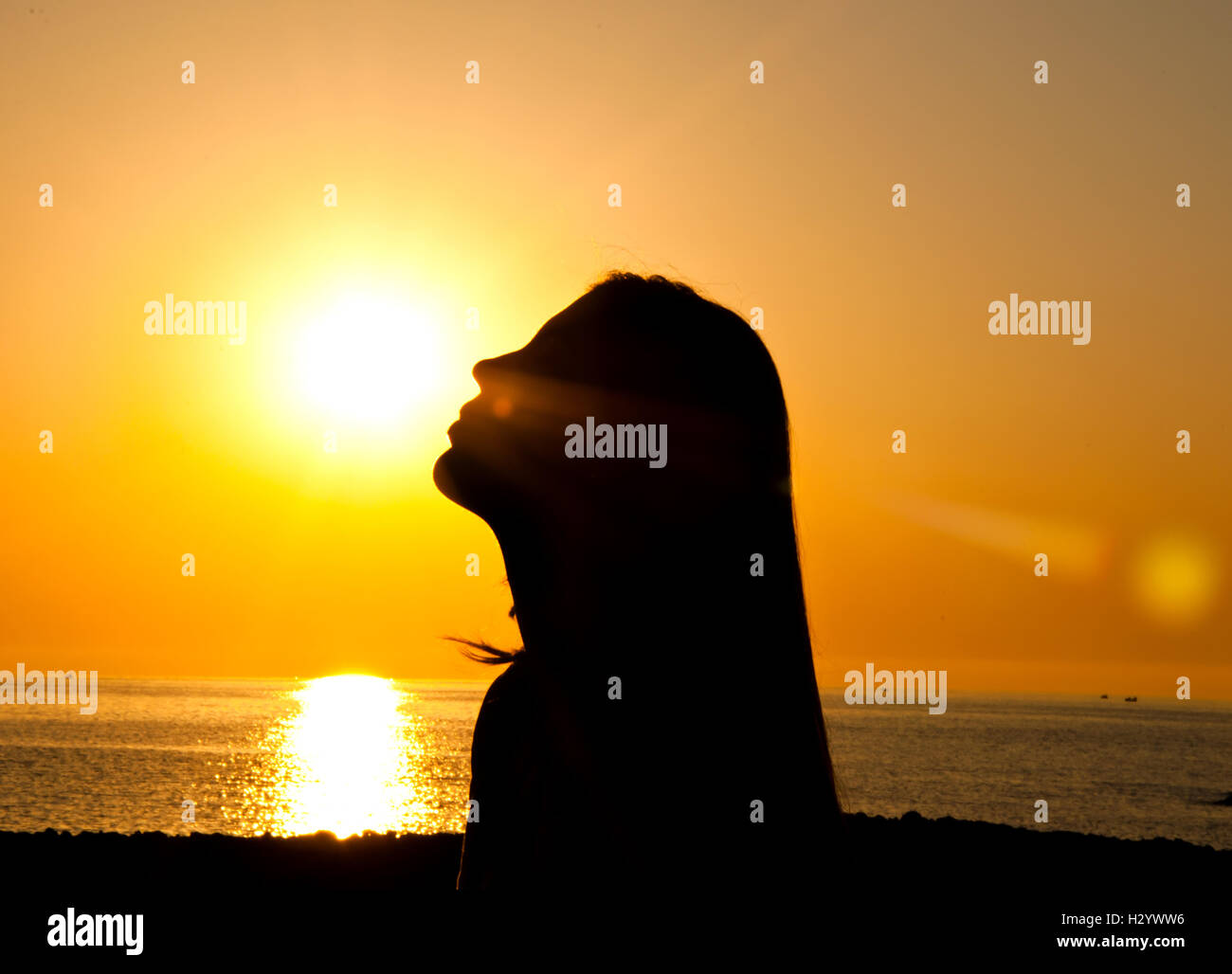 Woman silhouette in the sun Stock Photo - Alamy