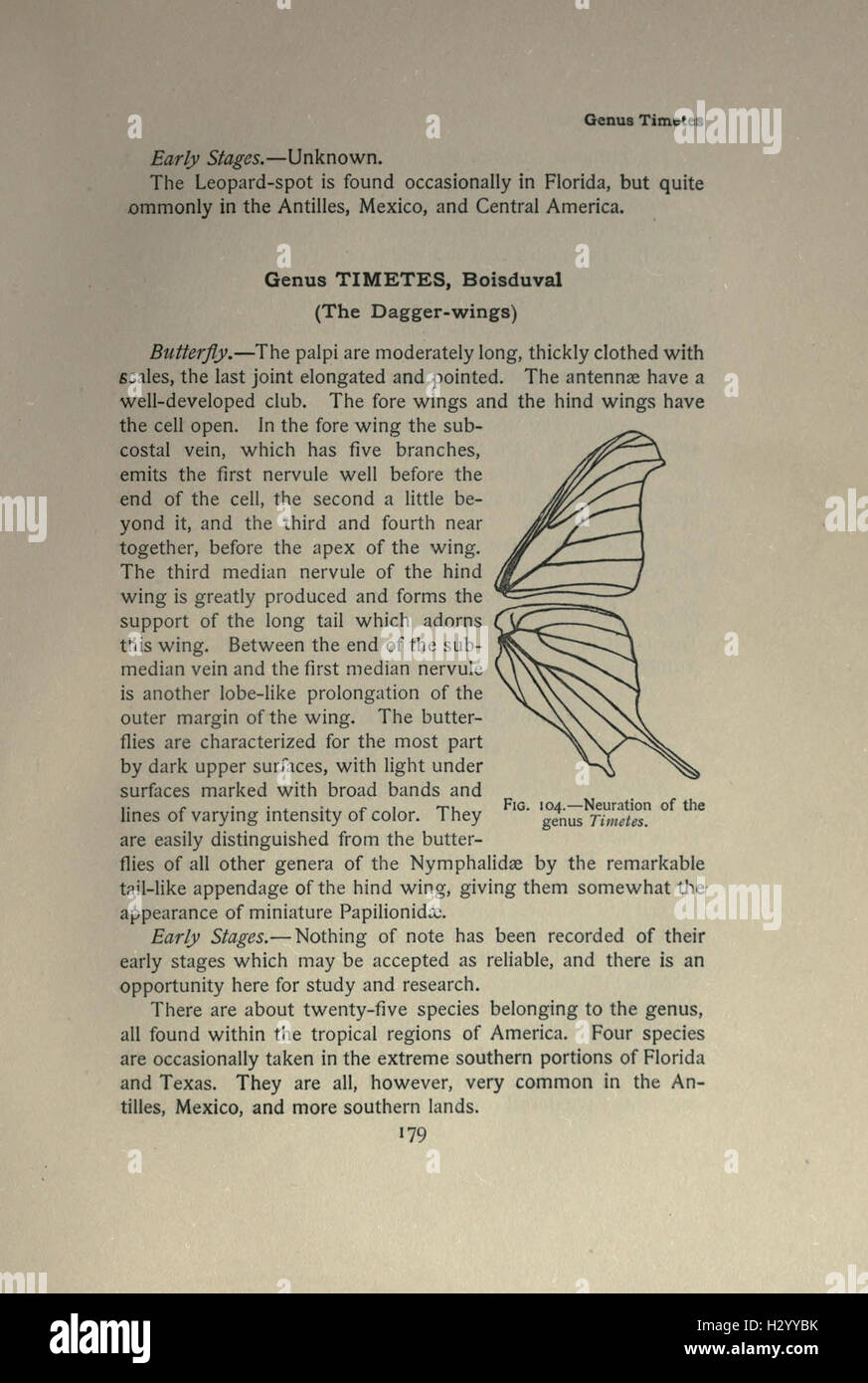 A guide to various butterfly species, detailing their identification ...