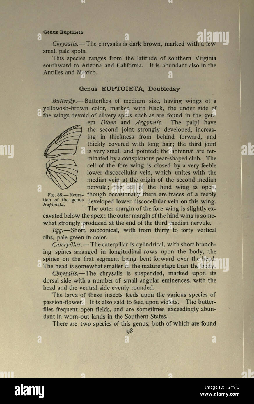 An informative guide on butterflies, detailing species identification ...