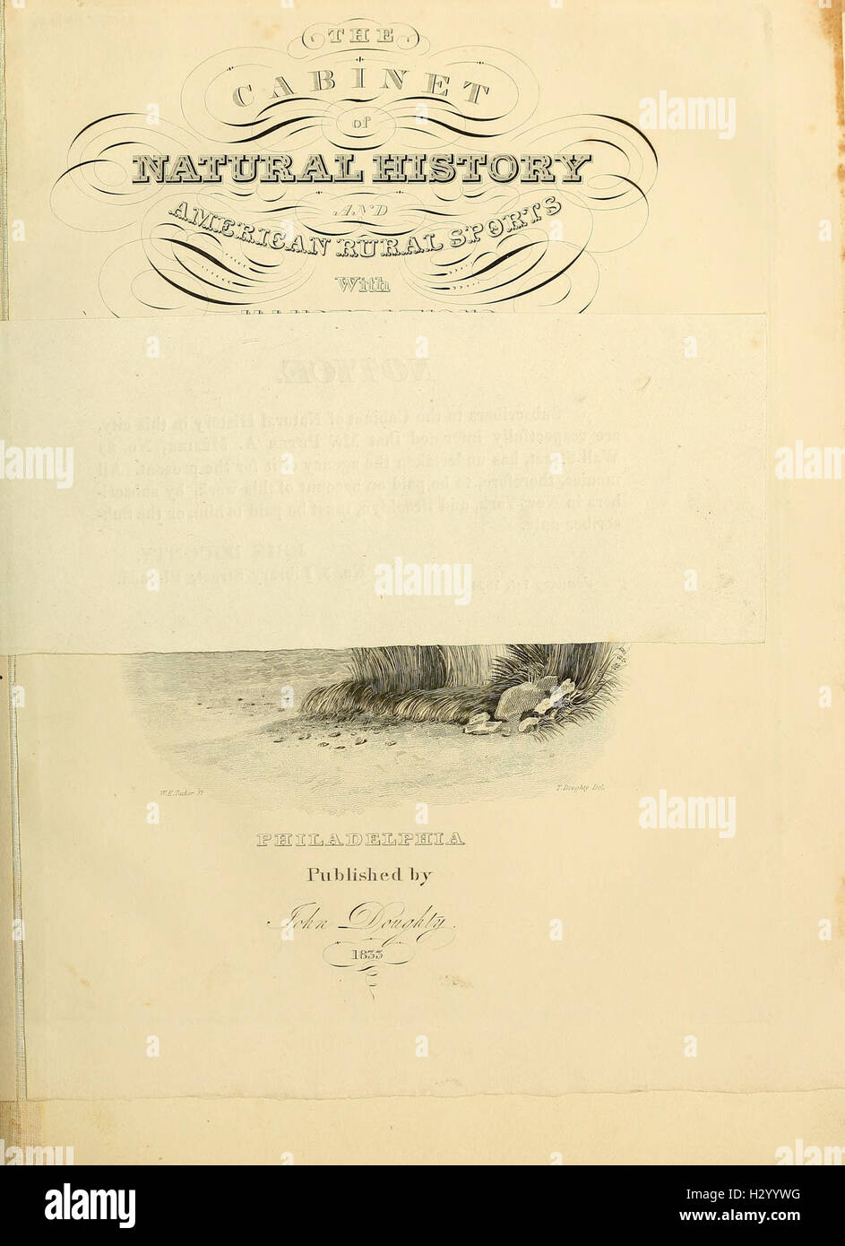 The of natural history and American rural sports BHL338 Stock