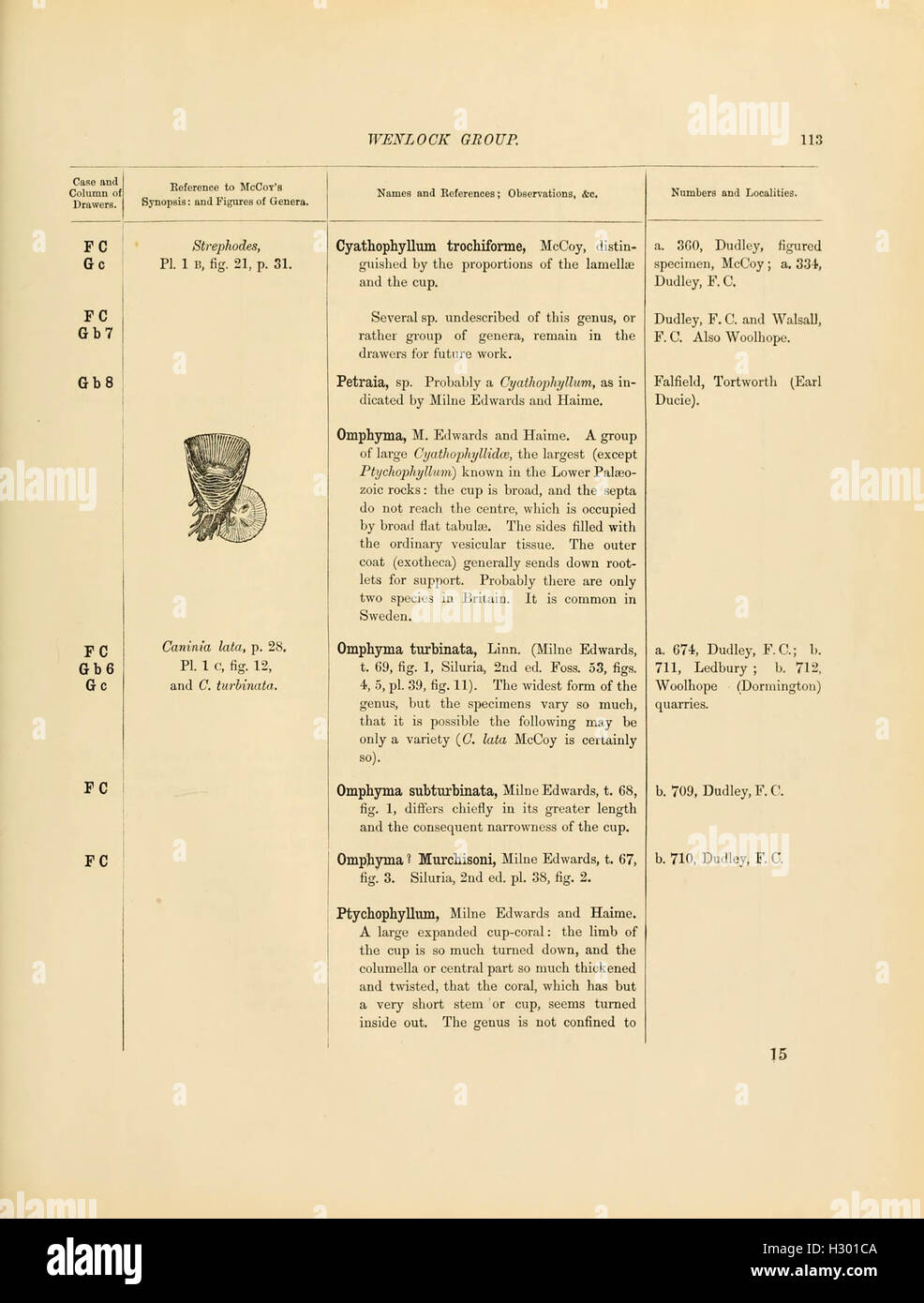 A catalog documenting the Cambrian and Silurian fossils housed in the