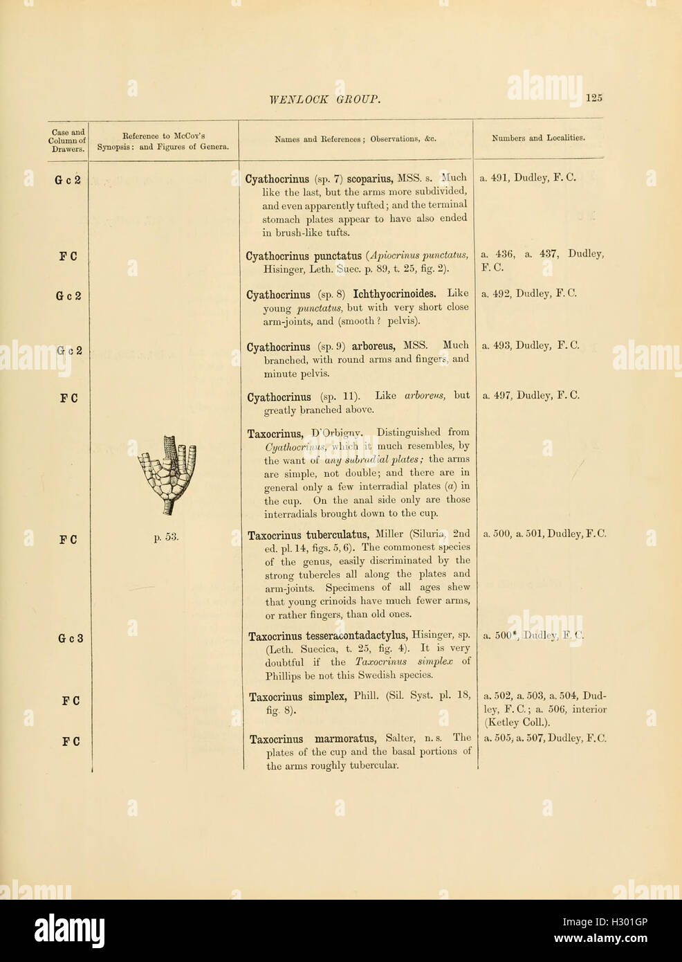 A catalog of Cambrian and Silurian fossils housed in the Geological